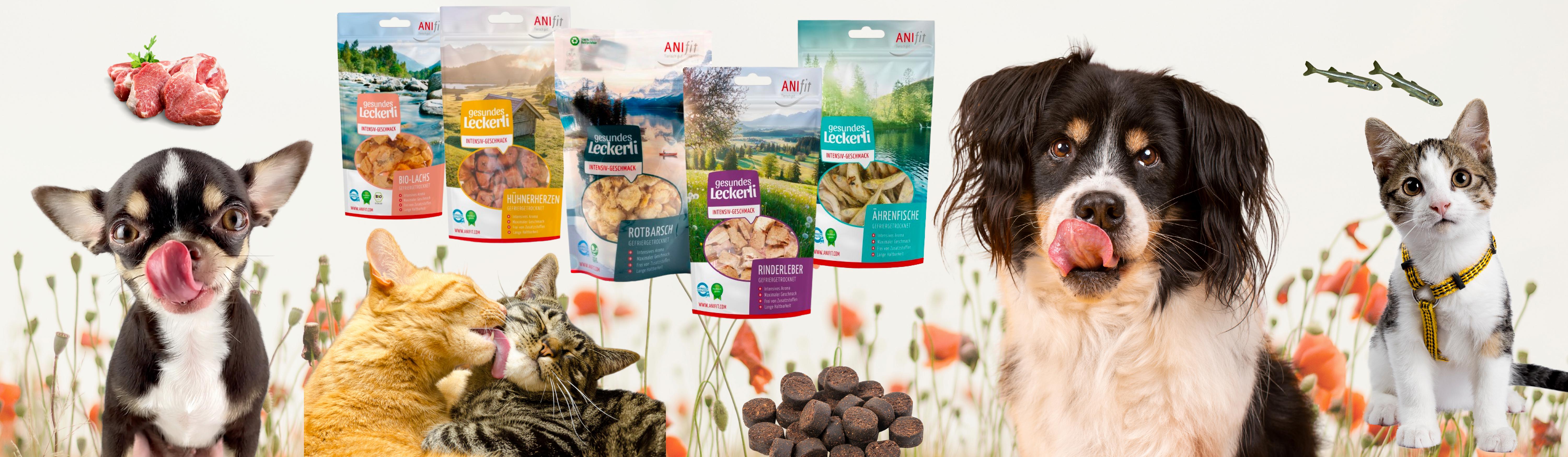 Gesunde Snacks