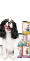 Hund Nassfutter Hunde-Schnupperpaket 200g 1 Set mit verschiedenen Sorten / Flocken / Testpackungen Anifit